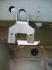 Skelet
